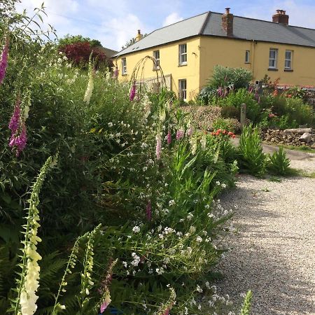 Frizenham Farmhouse Little Torrington 外观 照片