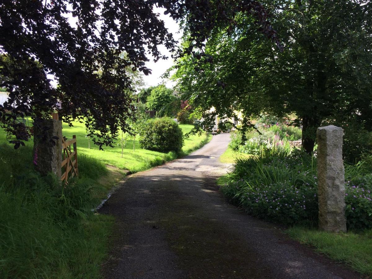 Frizenham Farmhouse Little Torrington 外观 照片