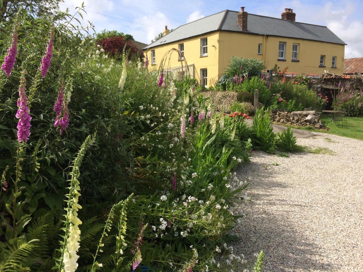 Frizenham Farmhouse Little Torrington 外观 照片